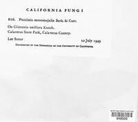 Image Associated With the Occurence